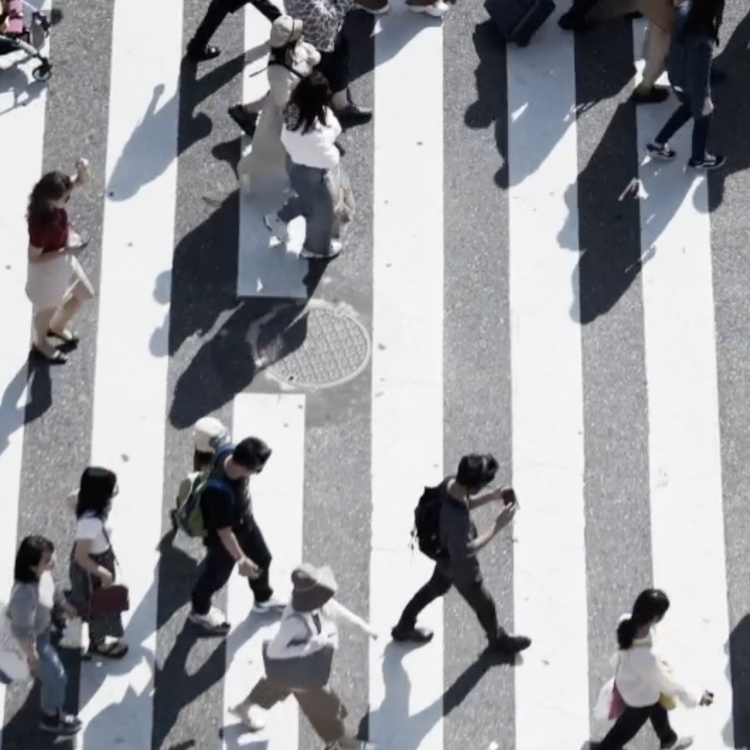 Institute for International SocioEconomic Studies