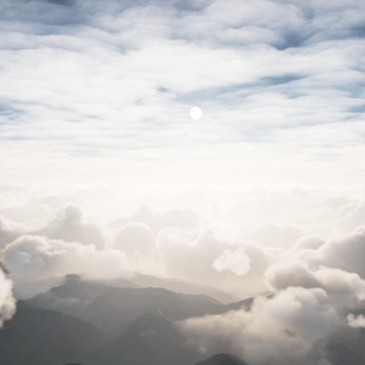 国際社会経済研究所